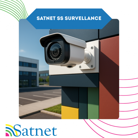SatNet SS Видео Наблюдение